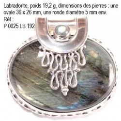 P 0025 Labradorite 19,2 grammes