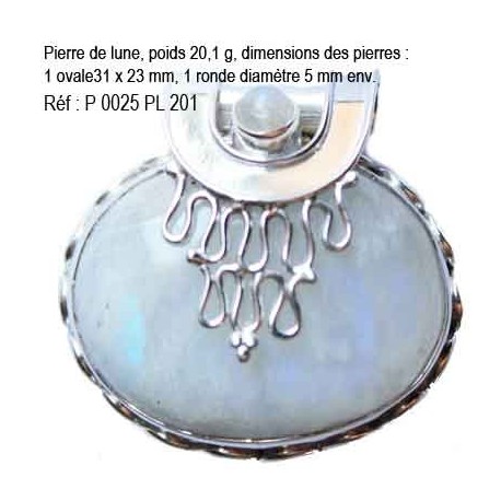 P 0025 Pierre de lune 20,1 grammes