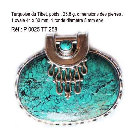 P 0025 Turquoise du Tibet 25,8 grammes