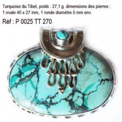 P 0025 Turquoise du Tibet 27,1 grammes