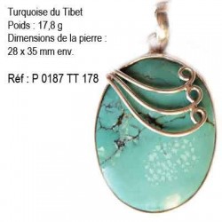 Turquoise du Tibet 17,8 grammes