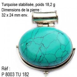 P 8003 Turquoise stabilisée 18,2 grammes