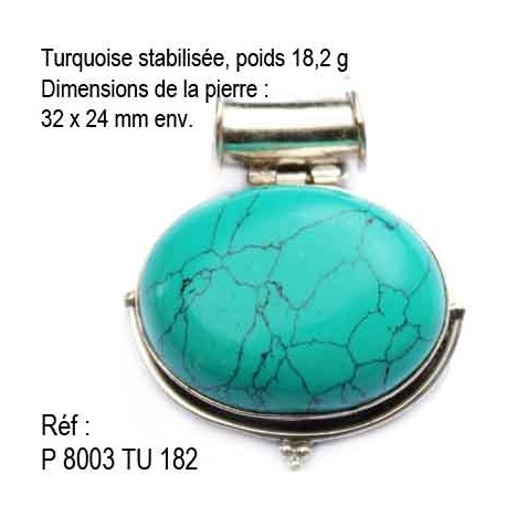 P 8003 Turquoise stabilisée 18,2 grammes